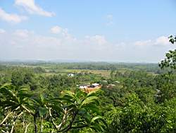 Landschaft bei Ambalagoda